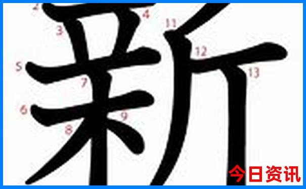 云南哪里有海鸥旅游景点